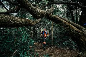 BIB: 
                            <button type="button" onclick="openModal(25705220)" class="btn btn-primary btn-sm float-right btn-popup" data-toggle="modal" data-target=".modal-high-quality">
                        <i class="fas fa-shopping-cart"></i> Add to Cart
                    </button>
                                            <button type="button" onclick="isThisMe(25705220, true)" class="btn btn-success btn-sm float-right btn-popup btn-isme hidden" data-toggle="tooltip" data-placement="bottom" title="นี่คือรูปของคุณใช่ไหม คลิกที่นี่เพื่อเอาเข้าอัลบั้ม">
                        <i class="fas fa-plus"></i> Add to album
                    </button>
                    <button type="button" onclick="isThisMe(25705220, false)" class="btn btn-warning btn-sm float-right btn-popup btn-isnotme hidden">
                        <i class="fas fa-ban"></i> Remove from album
                    </button>